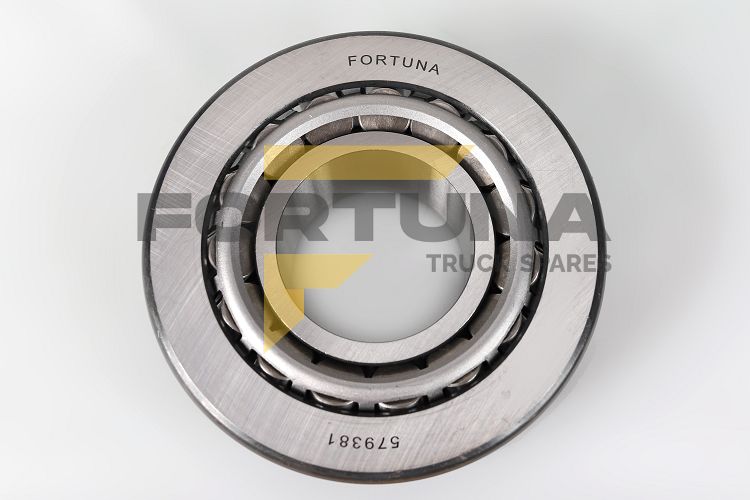 Imagem do produto ROLAMENTO 579381 - TRAS. PINHAO DIFER. R/RB660/2 - Cód: FAP-10412
